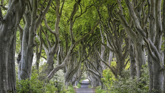 Game of Thrones set in Northern Ireland