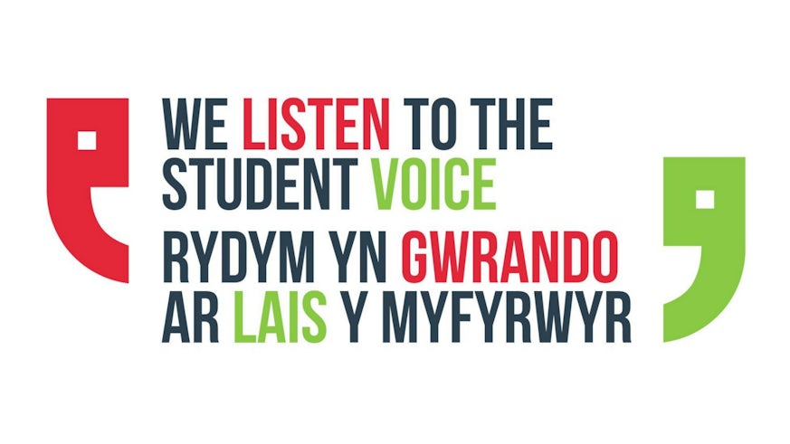 Student Voice Logo