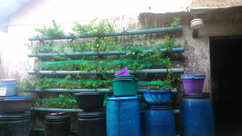 Green wall 1