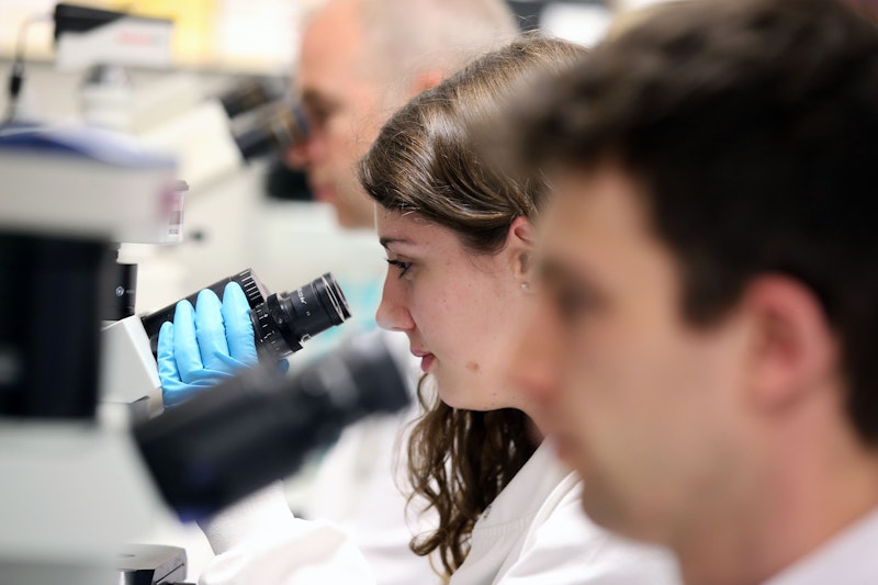 researchers at microscope