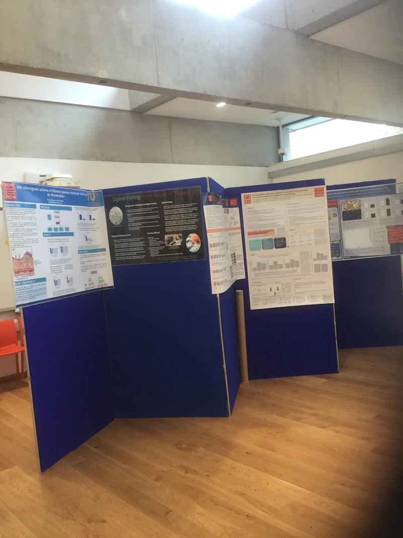 poster area 4