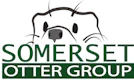 Somerset Otter Group