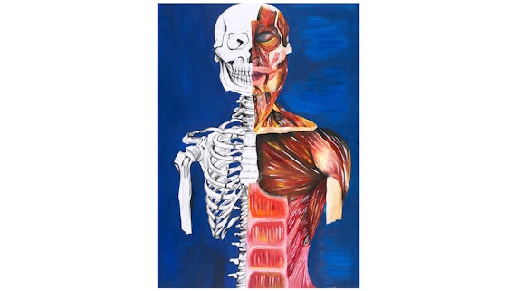 What You See is What You Get; an Anatomical Study