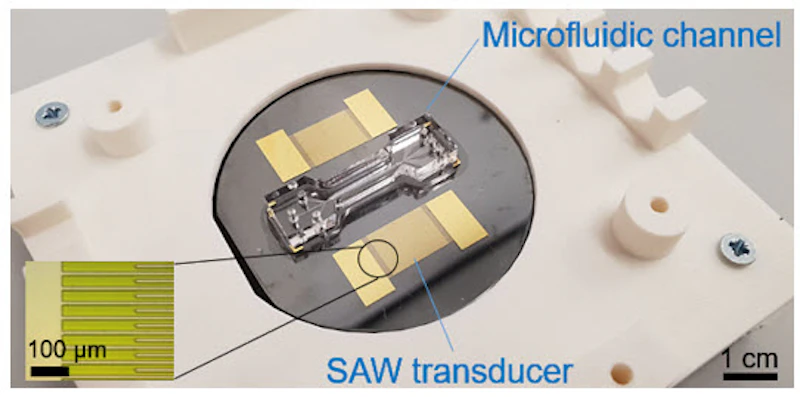 Medical Electronics: Acoustofluidic chip consisting of a surface acoustic wave transducer and a microfluidic channel.
