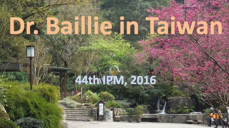 Baillie Taiwan