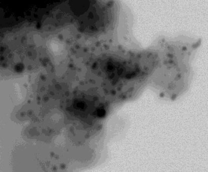 Brightfield STEM in Scanning Electron Microscopy of 1%PdC. Showing 1-3 nm particles