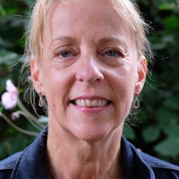 Dr Cynthia Carter BA (Carleton) MA (Carleton) MLitt (Strathclyde) PhD (Wales)