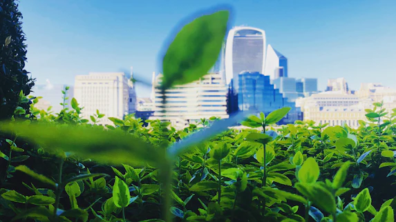 Fair and sustainable economies