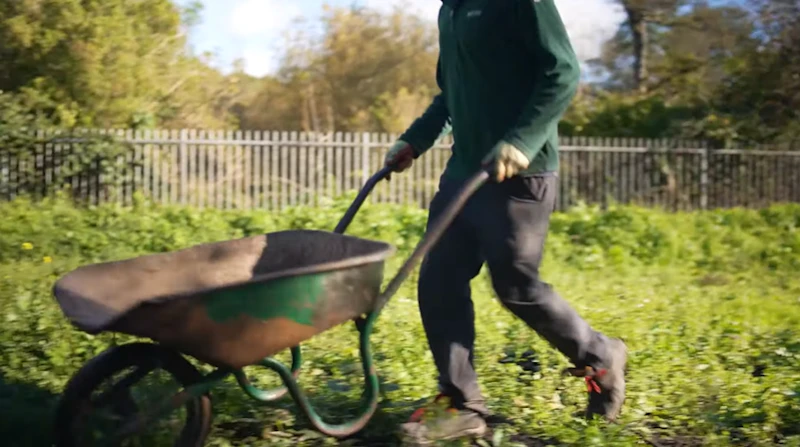 A person pushing a wheelbarrow.