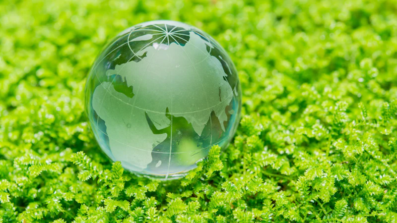 Sustainability - what next?