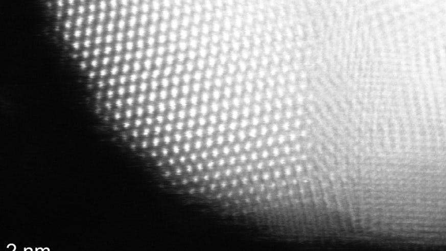 Black and white image of tiny particle under a microscopic