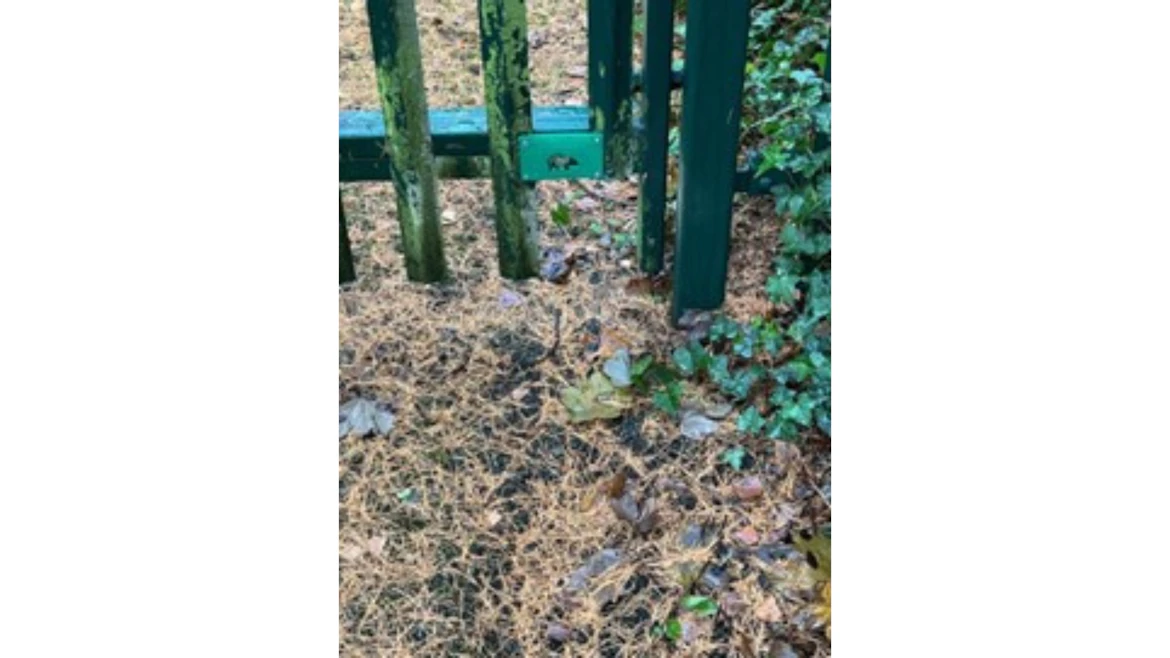 A small gap under a fence with a small sign showing a hedgehog