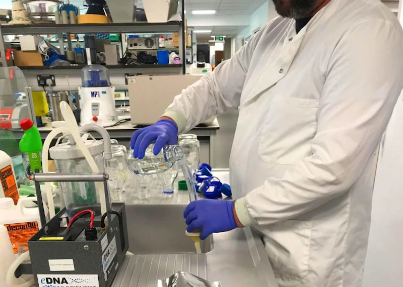 Wye Algae PhD Study