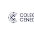 Logo Prifysgol Caerdydd / Cardiff University + Coleg Cymraeg Cenedlaethol