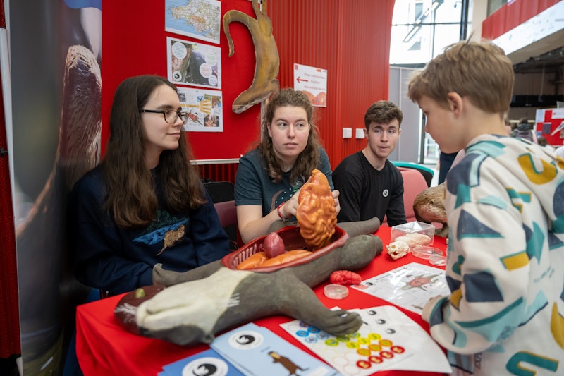 University staff introduce boy to a model otter.