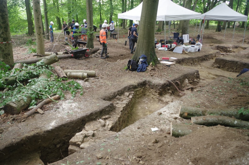 Cardiff University project wins distinguished archaeology award