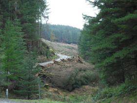 Ecosystem services