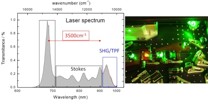 DCARS Microscope