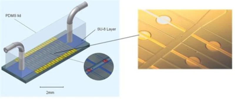 Laser array