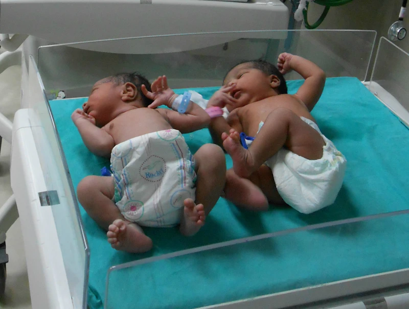 Babies in an incubator