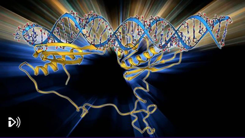 Depiction of an enzyme