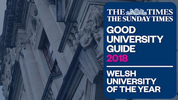Welsh Uni of the Year - Graphic