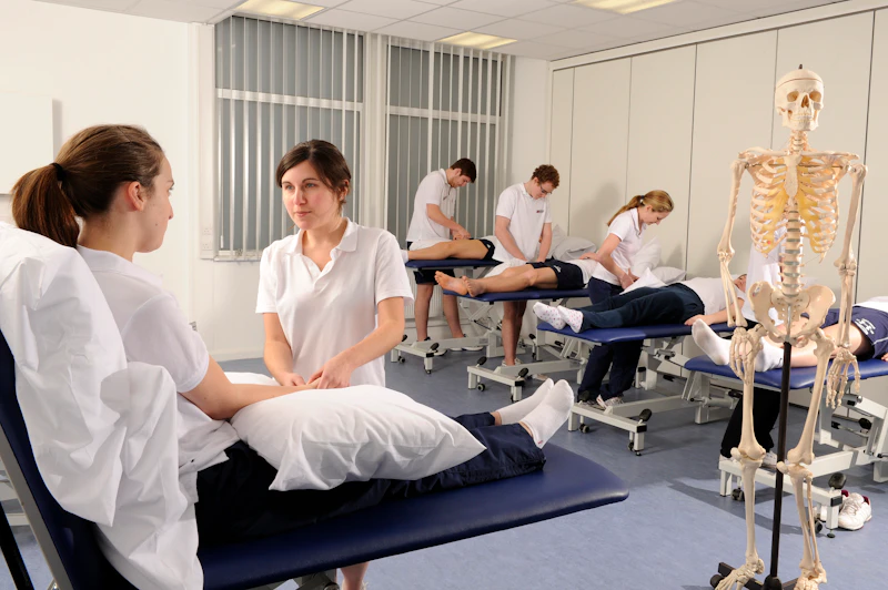 Physiotherapists