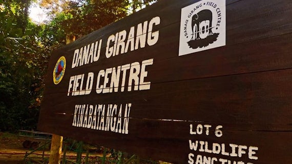 Wooden painted sign for Danau Girang Field Centre