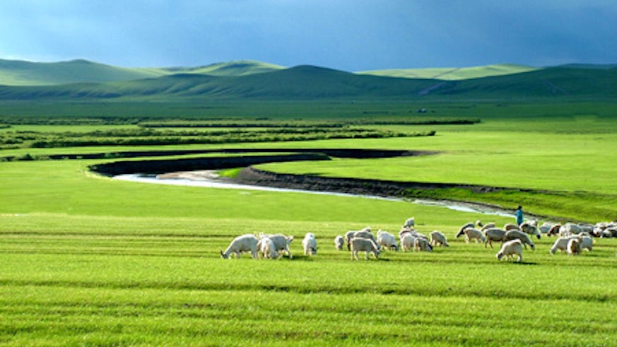 grasslands in Inner Mongolia