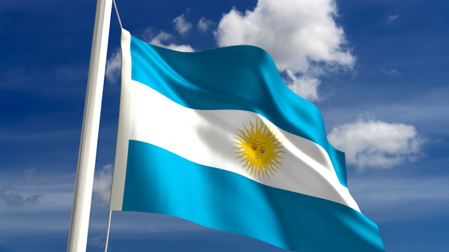 Patagonia Flag 
