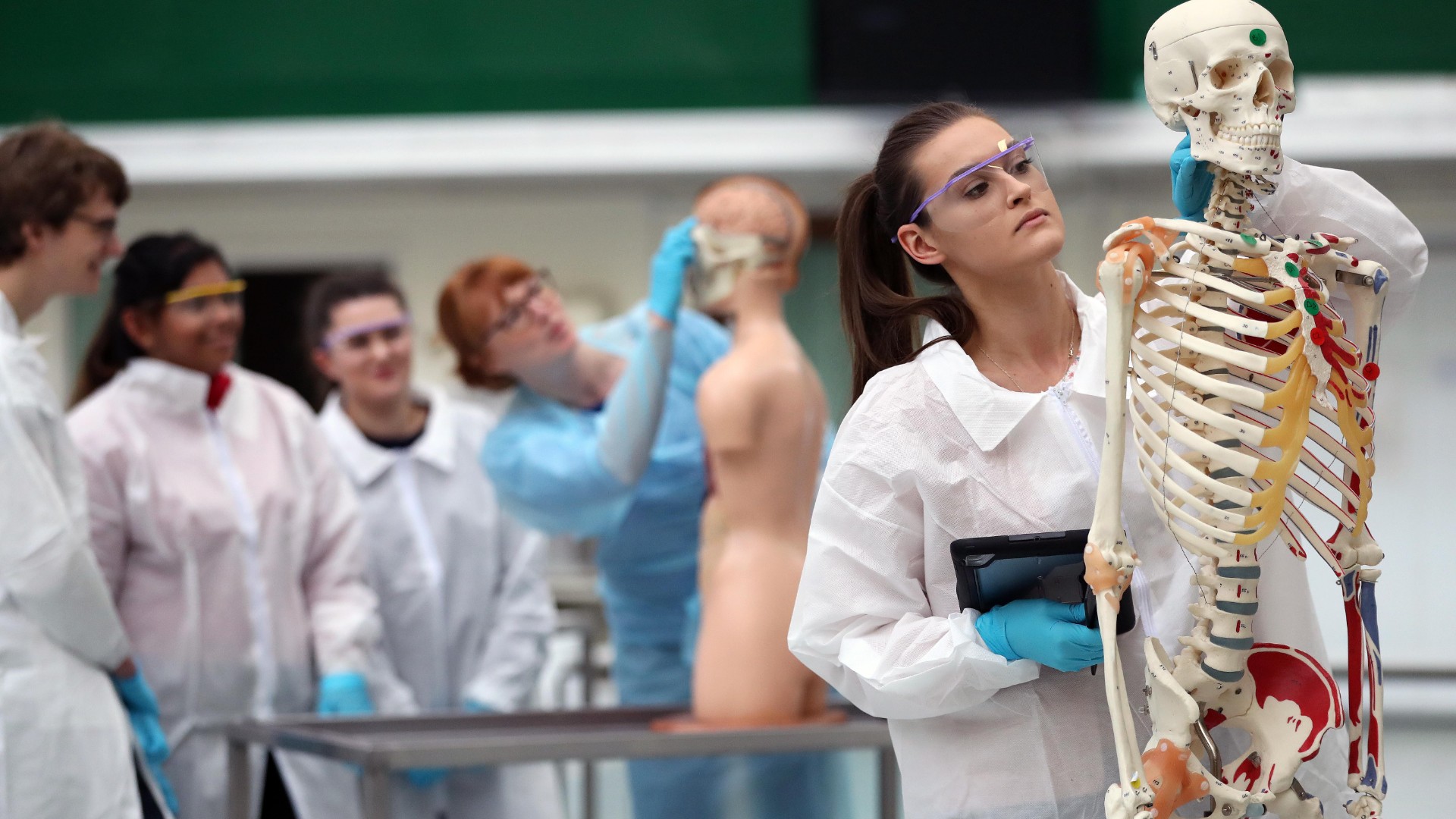 BSc Biomedical Sciences (Anatomy) - Wales Centre For Anatomical ...