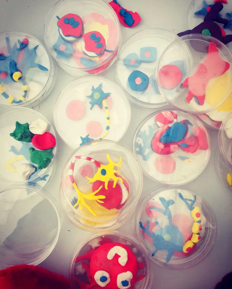 cell creations 5