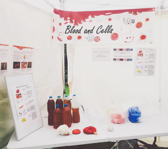 blood and cells 3