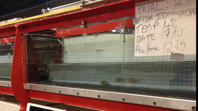 FishFacilities1