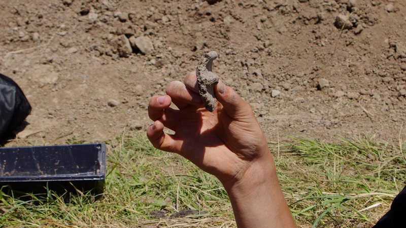 A hand holds up a find from a dig.