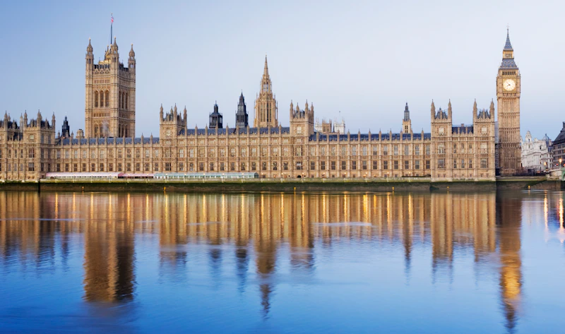 Politics and International Relations students