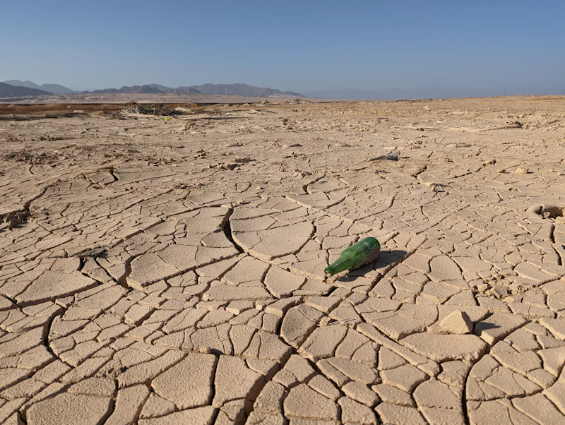 Green bottle on a dry river bed