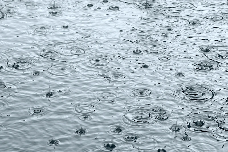 Top-down view of heavy rain in puddle.
