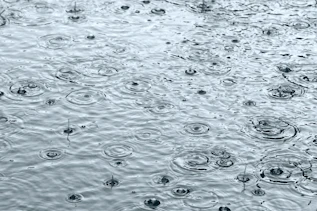 Top-down view of heavy rain in puddle.