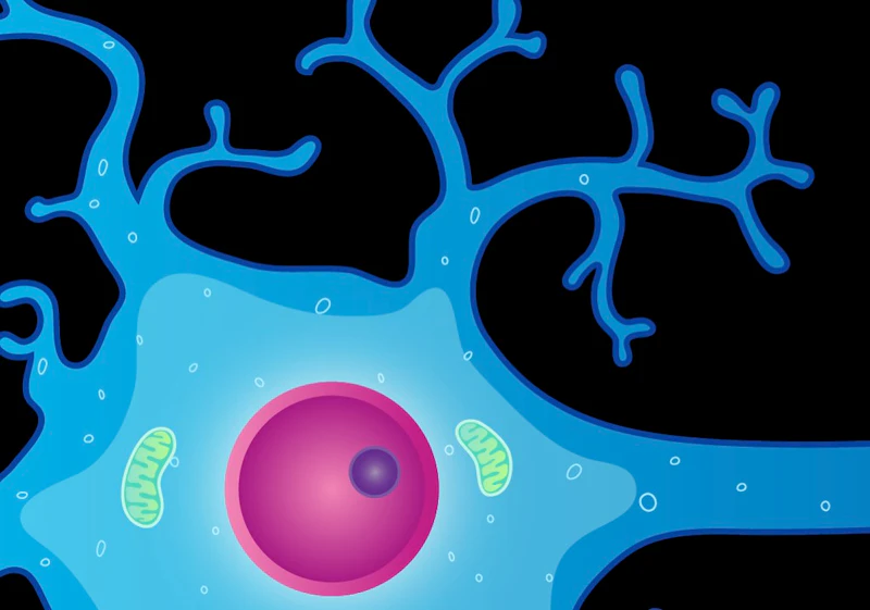 Neuron picture cartoon style