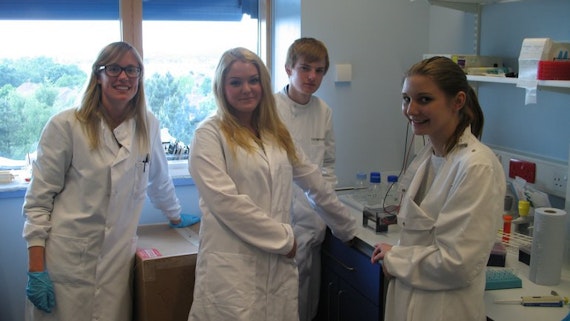 Lab work