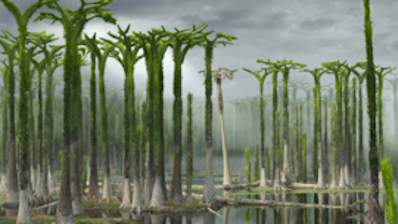 Reconstruction of Devonian lycopod forest in Svalbard