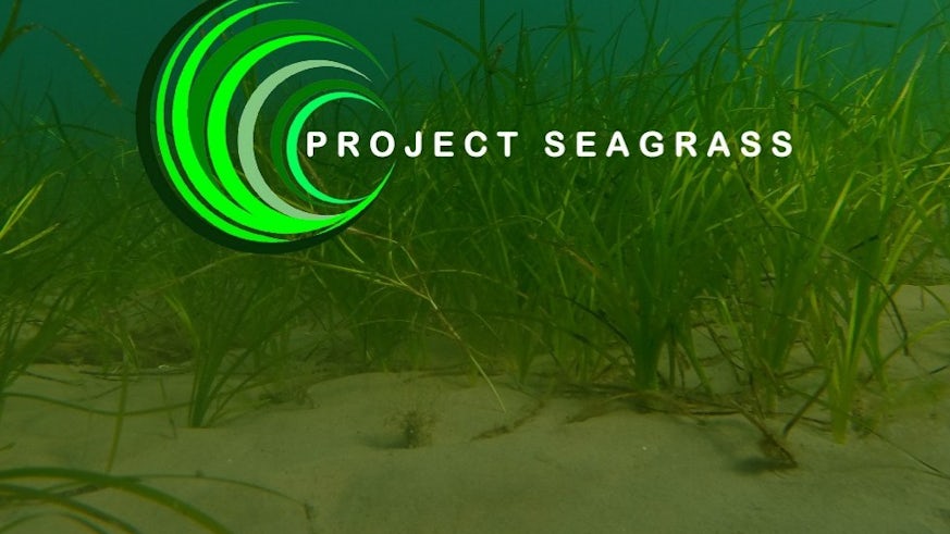 project seagrass logo