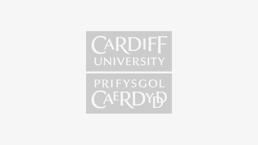 Cardiff MBA students