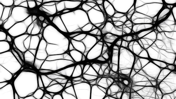 Black and white network of brain cells