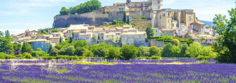 A picture of a town above a field of flowers