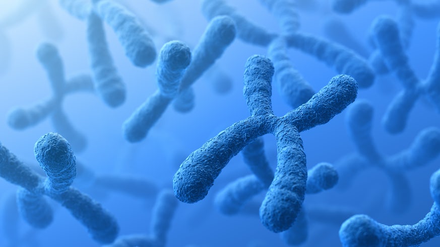 Chromosome stock image