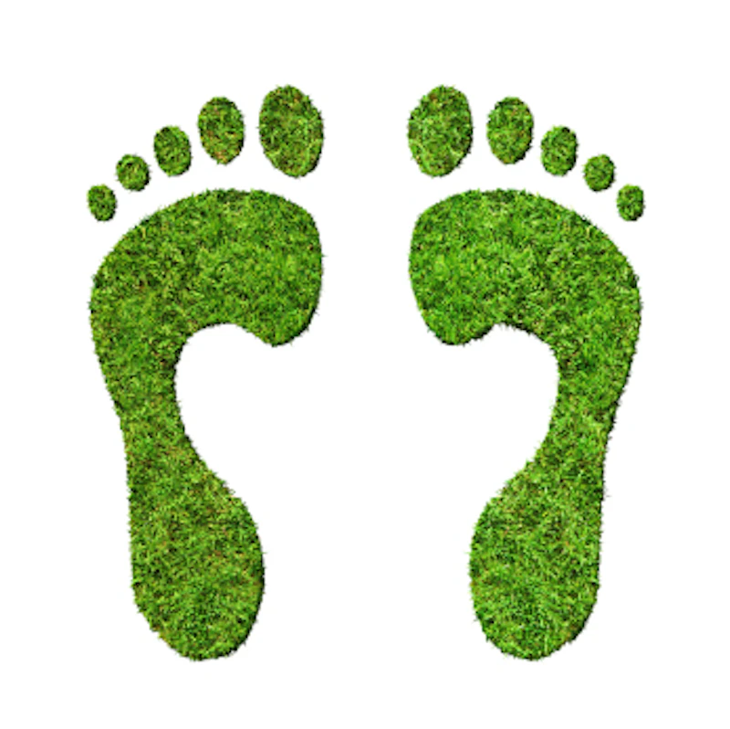 Footprint