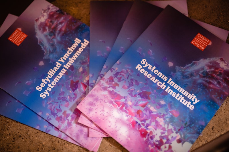 Systems Immunity Research Institute showcases recent successes