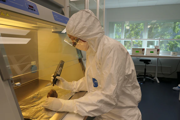 Photo of Dr Edana Lord, coauthor on the paper, inside the ancient DNA laboratory at the Centre for Palaegenetics in Stockholm, sampling a woolly rhinoceros tooth. 